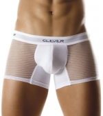 Mesh Bars Trunk